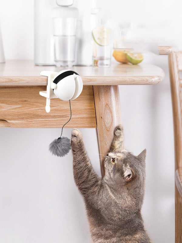 Interactive automatic cat teaser toy with lifting motion and feather attachment for indoor cats