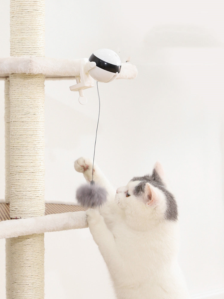 Cat playing with automatic lifting teaser toy showing interactive motion feature